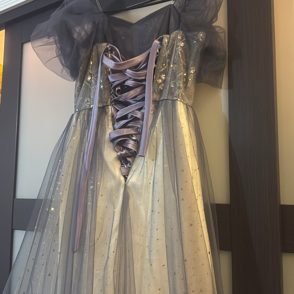 Ball-Gown/Princess - Picture 5 of 6